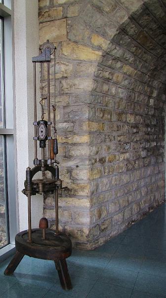 MG DAY 2012 (159).JPG
